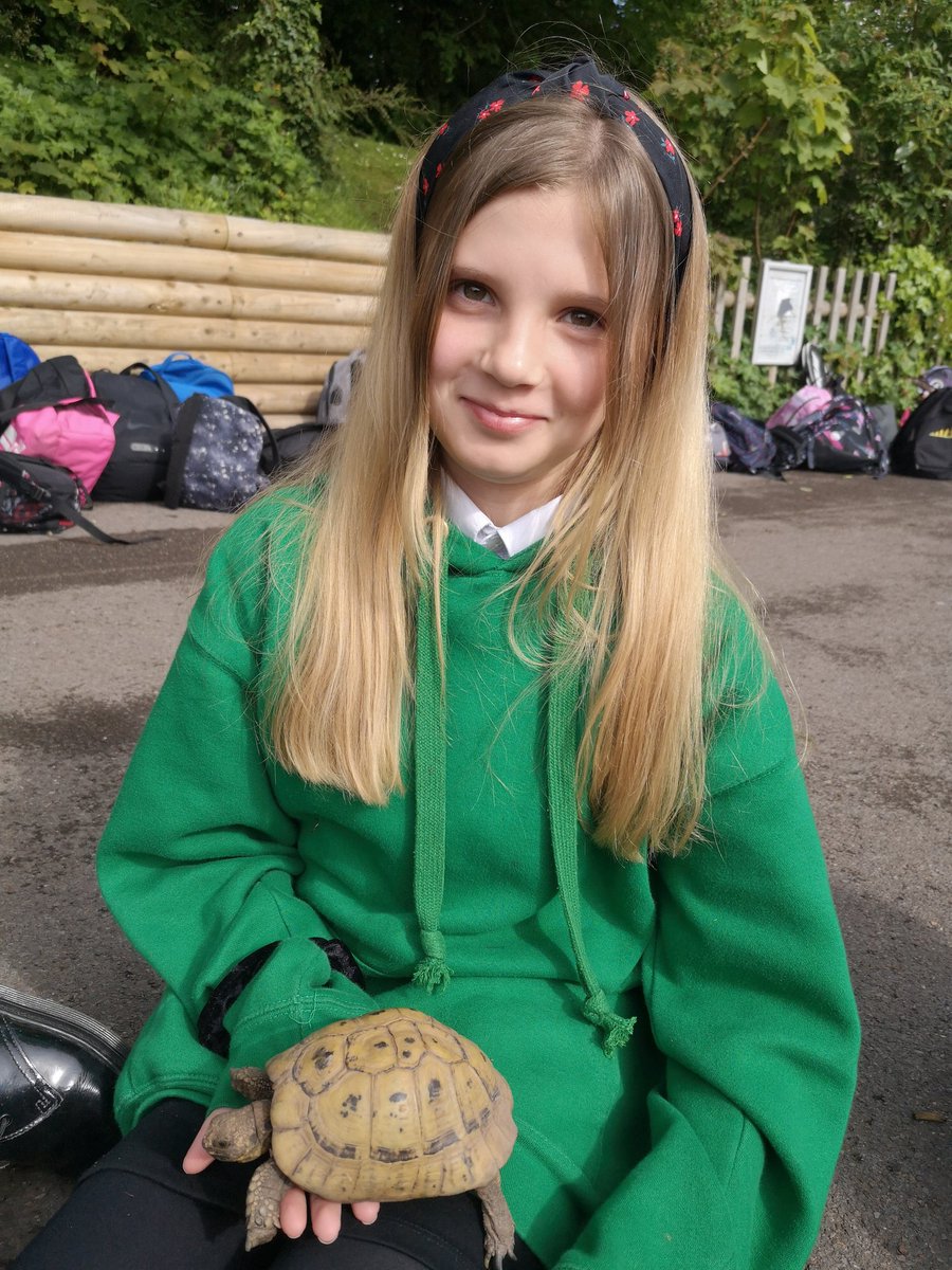bps_y6's tweet photo. We are loving getting to know Elmer and Cyril. #tortoisepower https://t.co/KsuLONkr7H