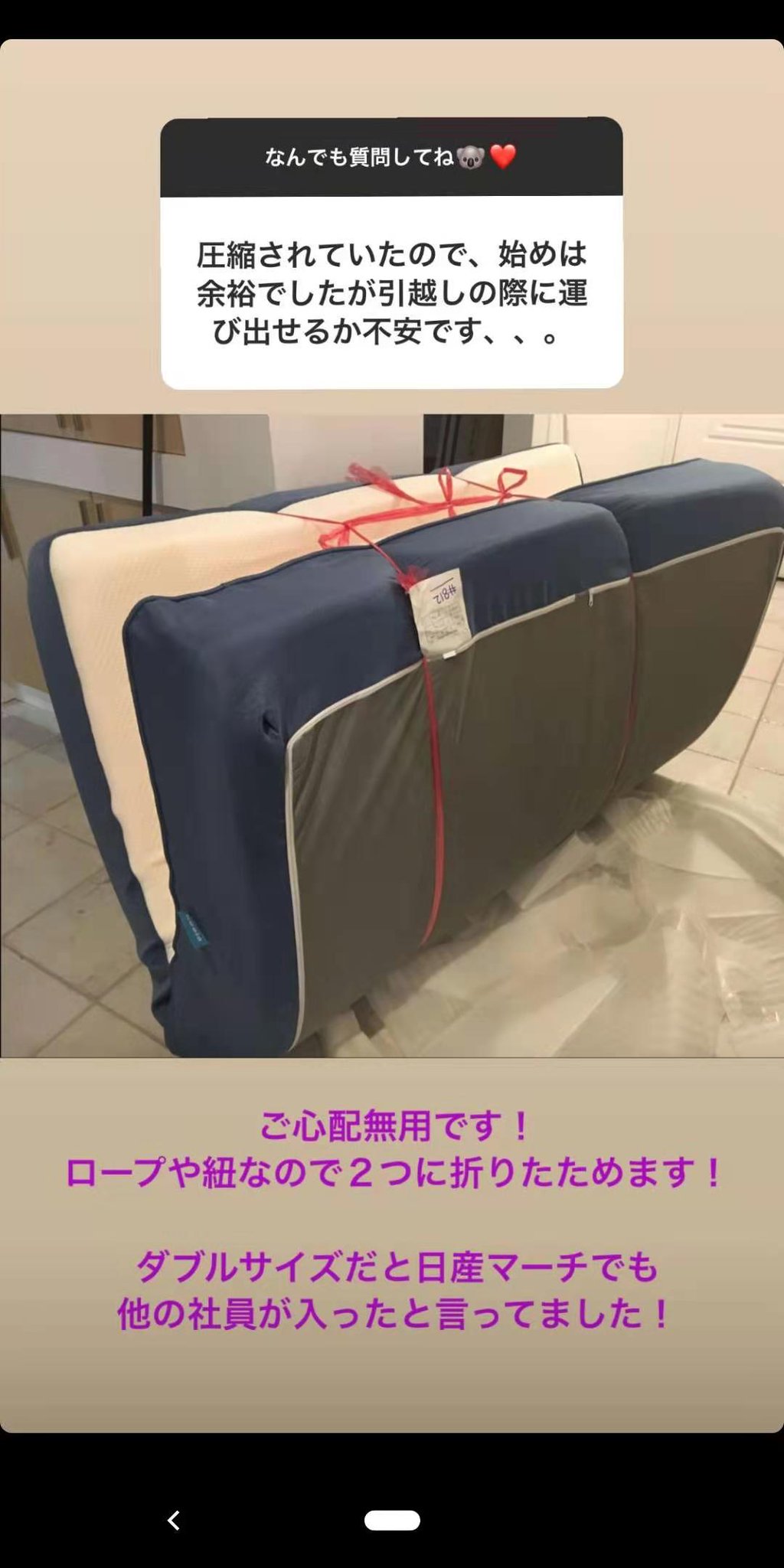 コアラマットレス on X: 