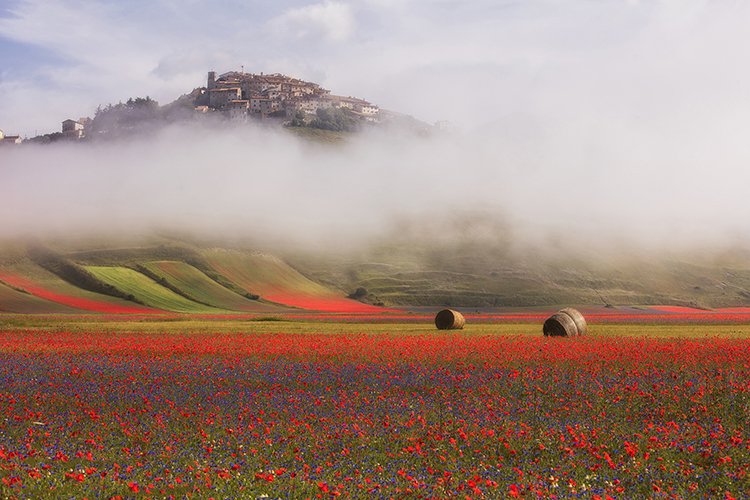 UniStraPg's tweet photo. Il #30giugno si svolgerà, a Norcia e Castelluccio, l'evento conclusivo - in presenza - dell'edizione di #InItaly 2021

La partecipazione è gratuita

Le iscrizioni online sono aperte fino al #5giugno

ℹ️➡️  https://t.co/XXPc6980x1

@RUnistrapg https://t.co/cNMlFGSzxb