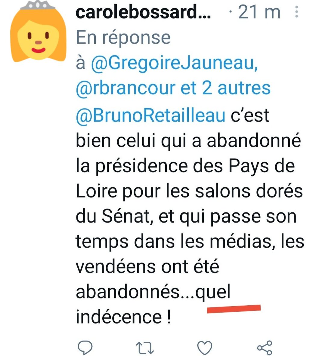 laroulotte49's tweet photo. #Jono😬 qui devait porter l'#estocade en devenant maire de @choletagglo participe peu ou pas aux CM car il casse des cailloux pour nourrir sa famille, c'est pas #indécent😡 La #castafiore👸 devrait balayer devant sa porte et apprendre à écrire !
#bouffonne
#DemainCholet
#LaREM https://t.co/o52c55wEcJ