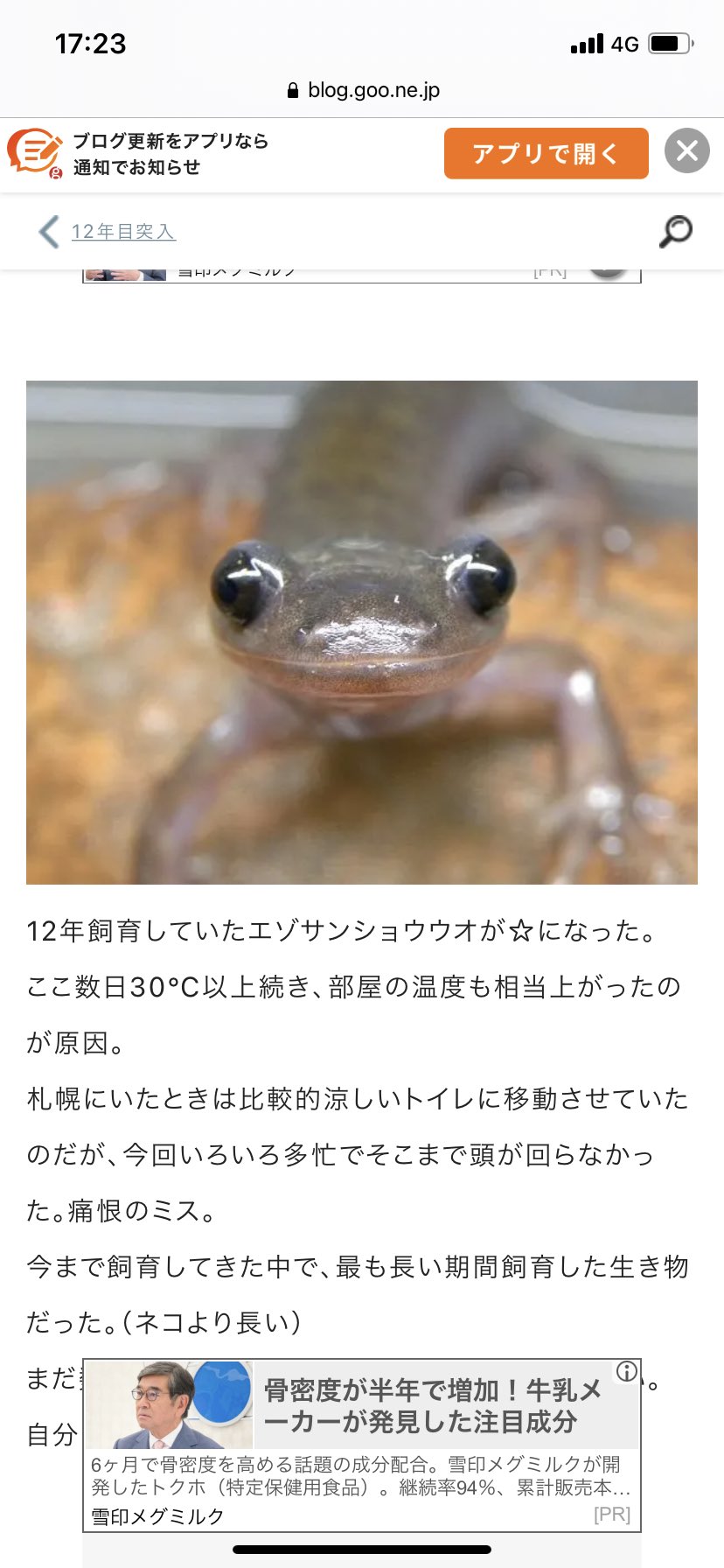 三浦春馬bot 好きな女性のタイプ 子供の頃は黒木瞳さんに憧れていて 黒髪ロングの女性と結婚したいと思っていたんです でも 最近は変わりました 生き物で例えるなら 今の僕の好きなタイプは エゾサンショウウオみたいな人 ですかね あの