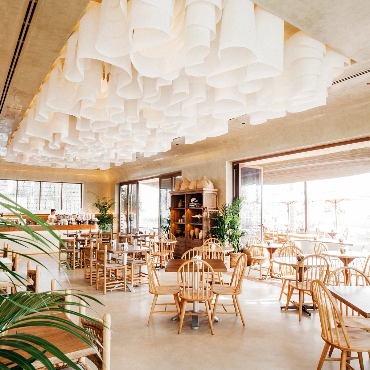 tashas cafe tweet media
