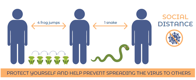 WCHerp's tweet photo. Are you curious to know how the pandemic impacted herpetologists? You can learn more in the #WCHNewsletter 1(2):26! 

Thank you to everyone who answer the survey!
Article by @drewrdavis &amp; @Bryony_E_Allen
https://t.co/i0bp7fMhJ4 https://t.co/5glfbHxQmY