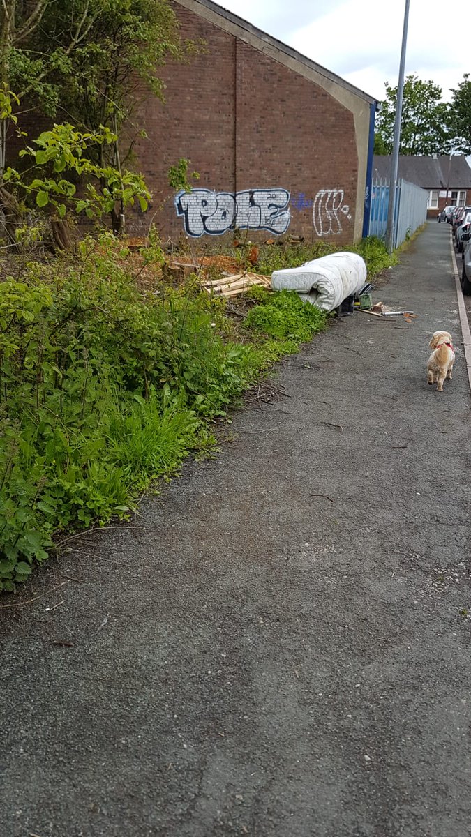 VanessaHamnett1's tweet image. Hi @SalfordCCHelp can I please report flytipping on land behind @Wickes @GAPGroupHire Clifton. This is just off Wynne Avenue. There is s camera. Hope that there is some footage🤞 @PLJackson2 @SalfordHeroes