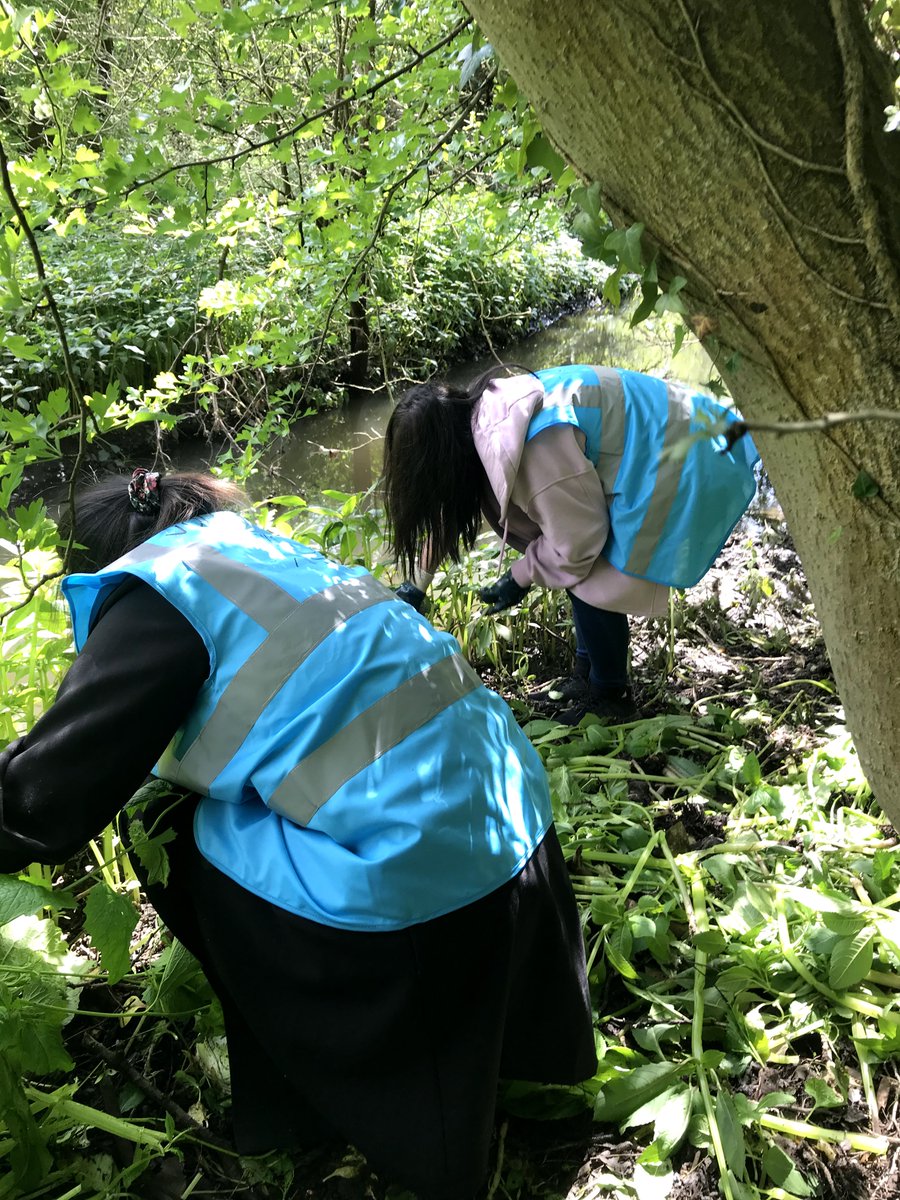 Warwick Volunteers tweet media