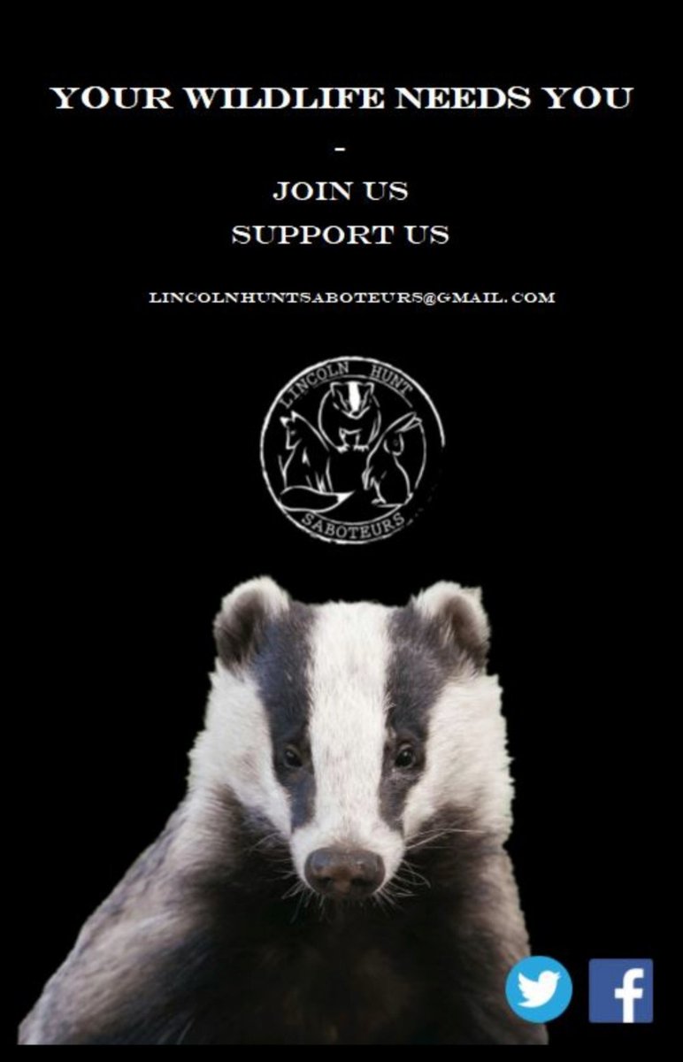 We're all in this together.
Want to get involved?
Get in touch