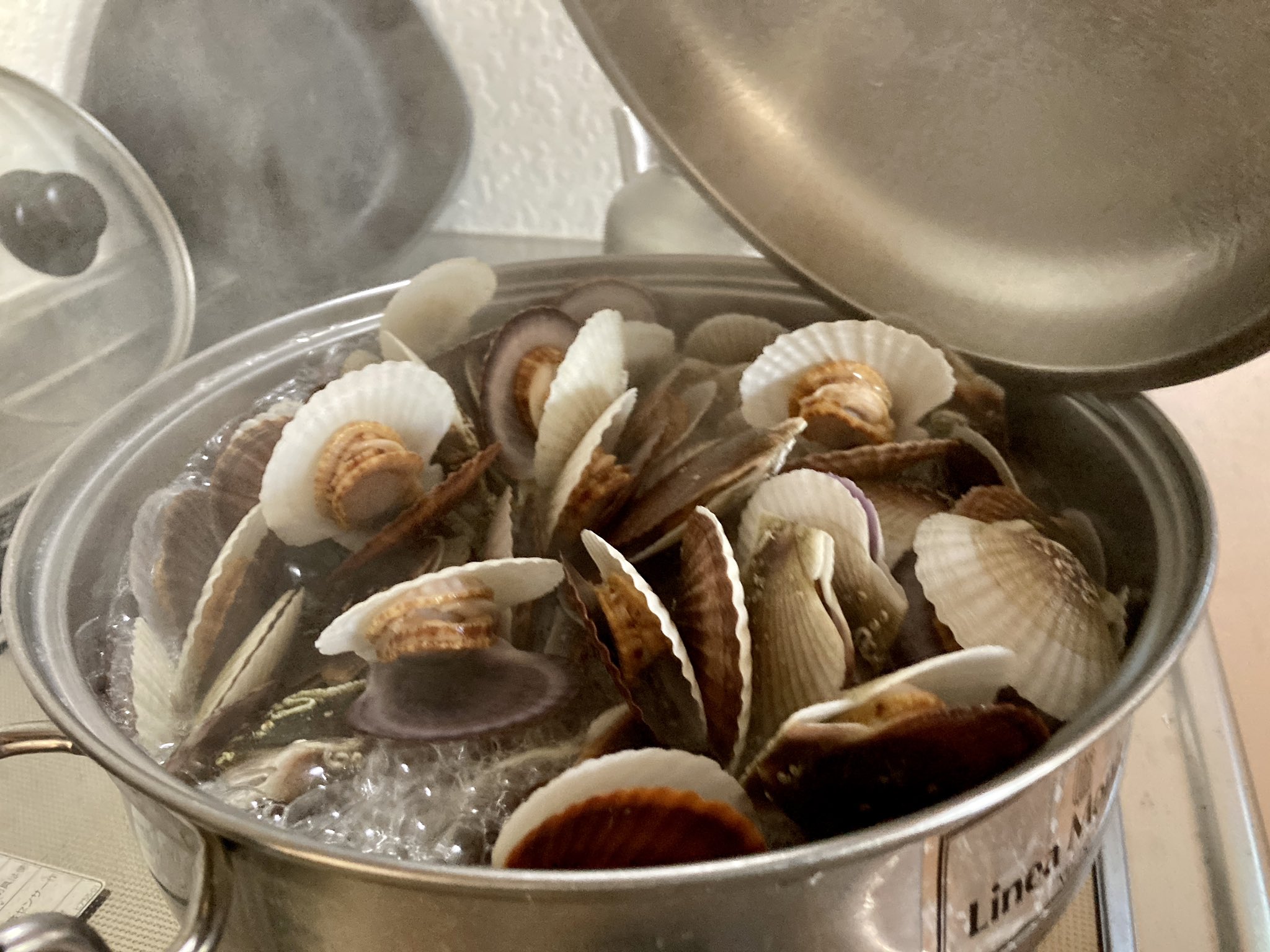 田中聡志 写真で伝える網走ライフ 蒸してむいて取って 今日いただいたホタテの稚貝 蒸した後に身を外し ウロ 内臓 を取って冷凍 崩れた身はつまみ食いw 全8ラウンドでした 稚貝の殻は薄くて切れやすく手はボロボロだけど これでしばらく美味しく