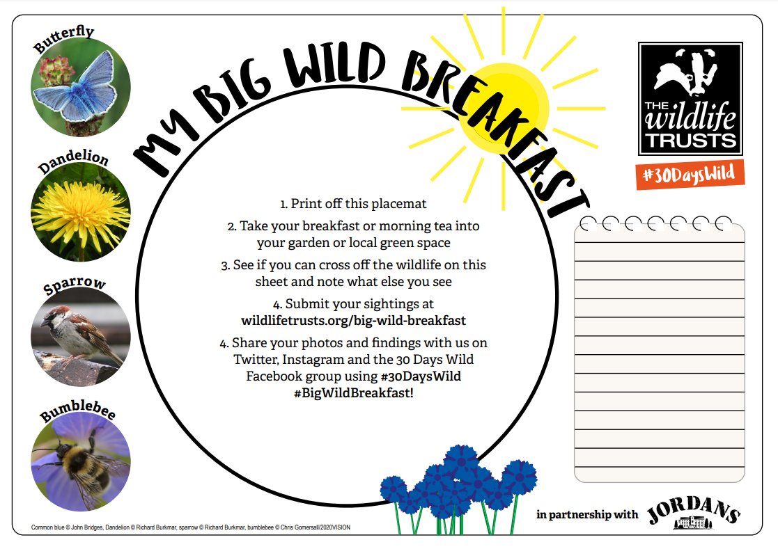 The Wildlife Trusts tweet media