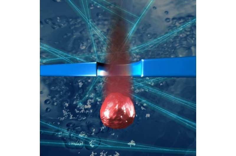 gopalan_of's tweet image. Researchers use deep learning to &apos;denoise&apos; nanopore data Scientists: 
Source : techxplore.com/.../2021-05-de…...
#GCEM #DepartmentofComputerScienceAndEngineering #research  #Nano #DeepLearning  #osaka #university #Institute #science #DNA #machinelearning