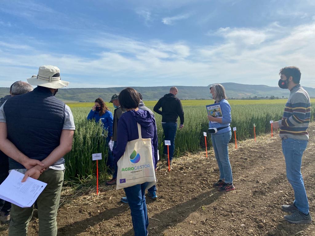 lifeagrogestor's tweet photo. Hoy recibimos la visita de la monitora del proyecto Pepa Diamantopoulos #NEEMO para conocer el piloto de la Coop. Orvaláiz enfocado al uso eficiente de fertilizantes, utilizando las plataformas #AGROasesor y #AGROgestor #JornadasPuertasAbiertas #INTIA #Torres de Elorz https://t.co/ZUTvx7xIjx