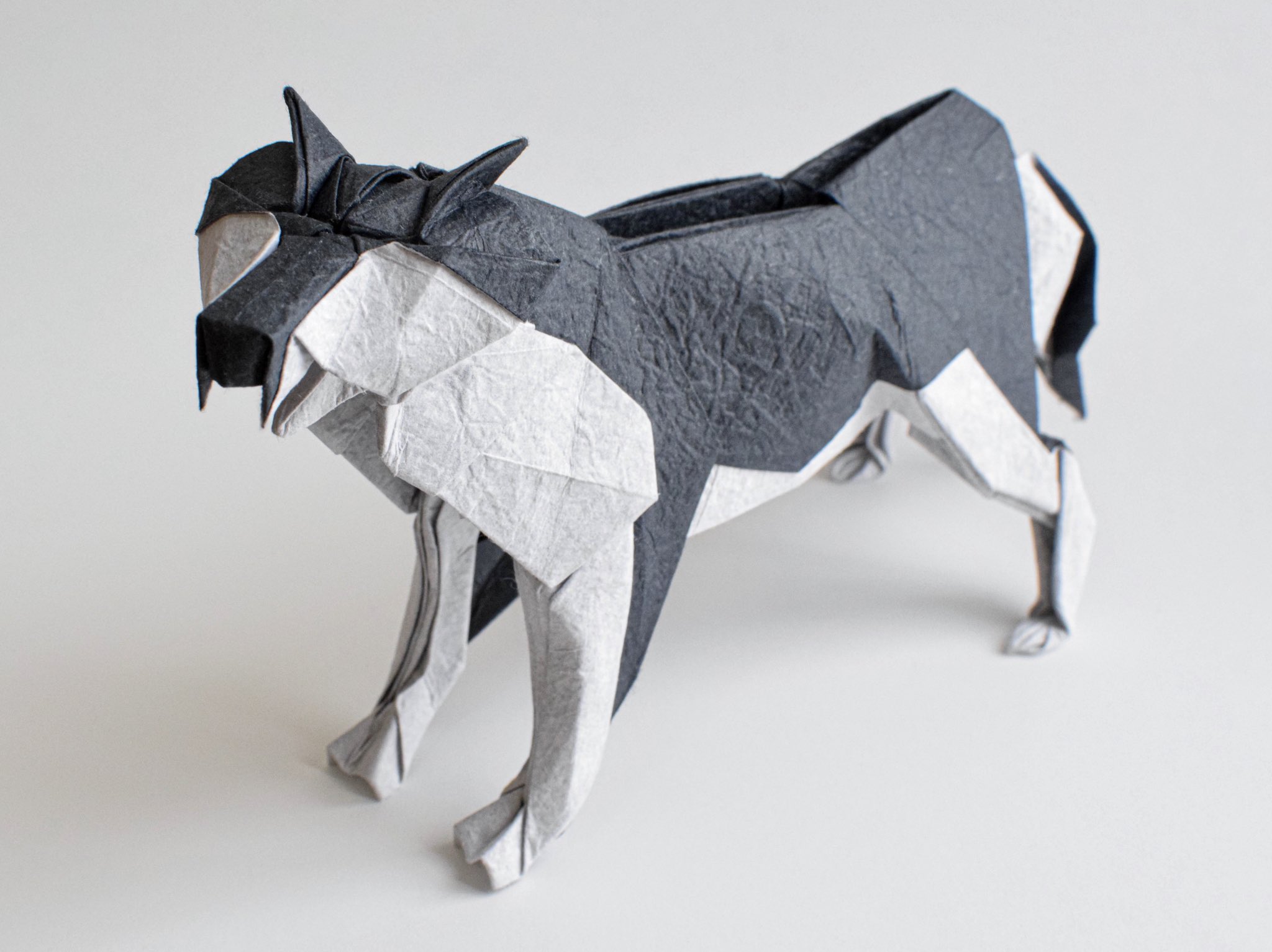 ザキ オオカミを創作しました 42cm正方形1枚より 折り紙作品 T Co Hcjra9snw4 Twitter