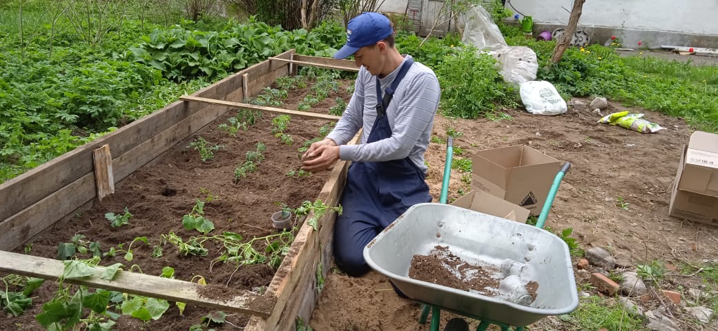 spbsanay's tweet photo. Посадил грядку томатов. Жду урожай ! https://t.co/mvhXS8waOa