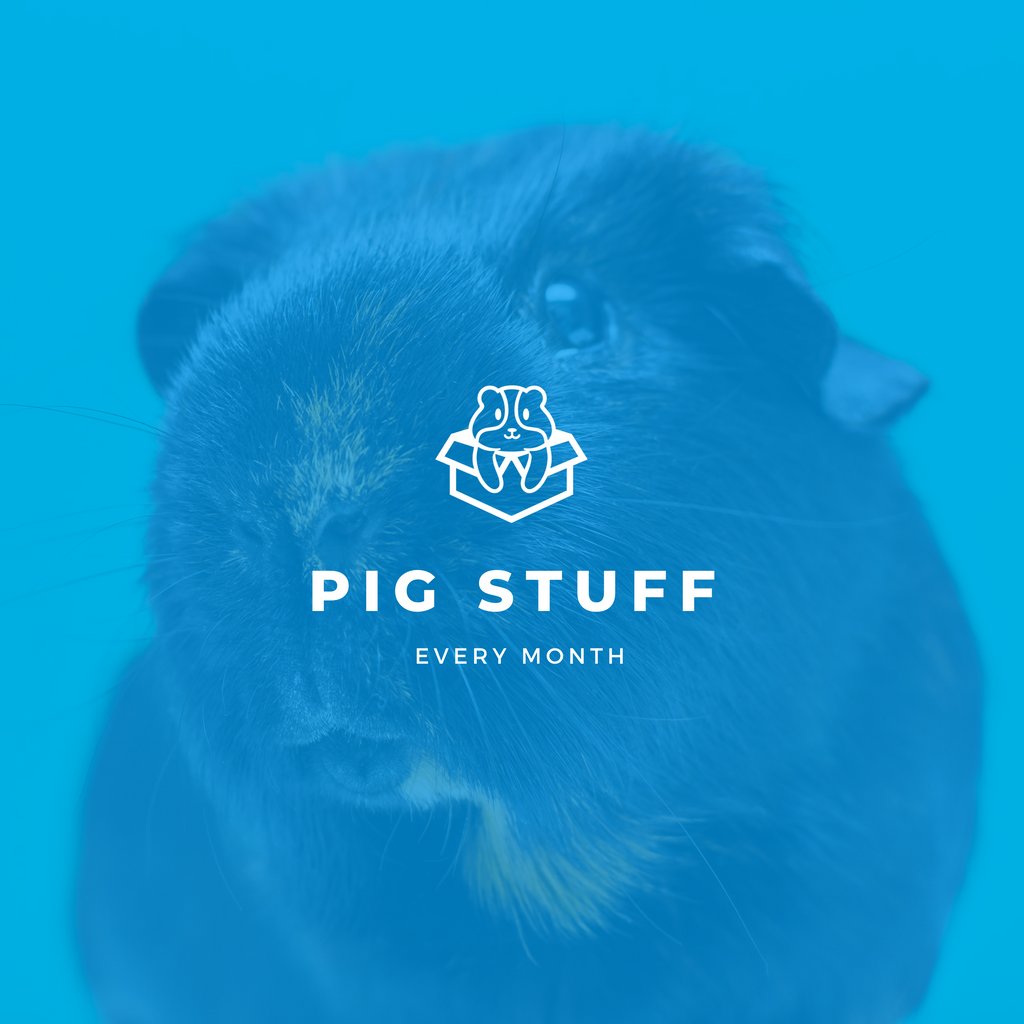 gpigbox's tweet photo. 😍 Sign up for our box to spoil your piggies and yourself each month! 📦🐷⁠

https://t.co/iQ8sQ4x35h

⁠#guineapig #guineapigsofinstagram #guineapigs #guineapiglove #cavy #guineapiglife #pets #cute #guineapigsofig #petsofinstagram #guineapiglover https://t.co/Kjh7vC6Ctk
