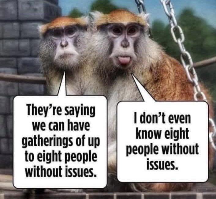 roelraymond's tweet photo. 😁#lockdownissues
*15 in our case tho 😂😂
#SriLanka #lka https://t.co/rOydiRJp0M