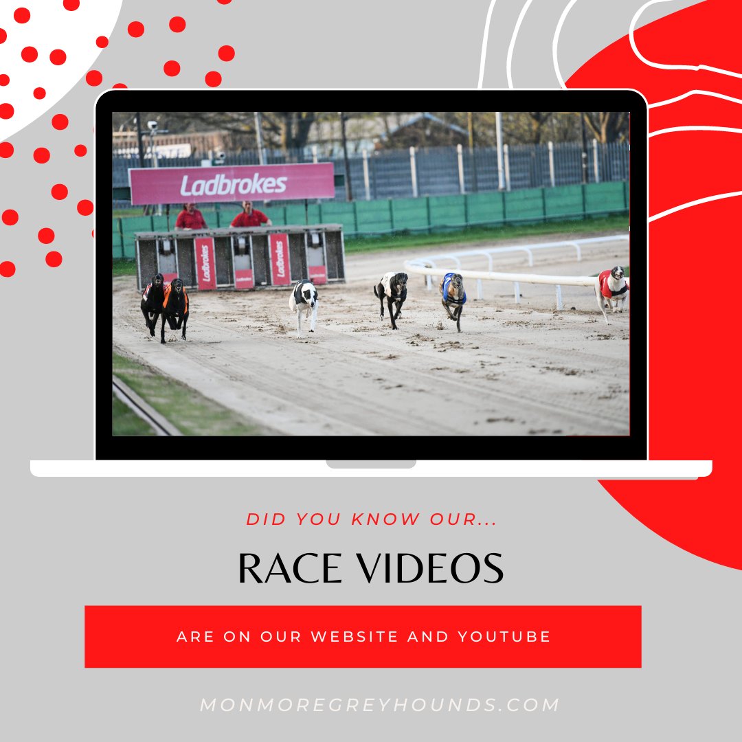 Monmoredogs's tweet photo. Our race videos are available on our website - https://t.co/P9CaM9yyZL
or via our YouTube channel.
#greyhoundracing
#monmoregreen
#racevideos https://t.co/ybGjONJyZ7