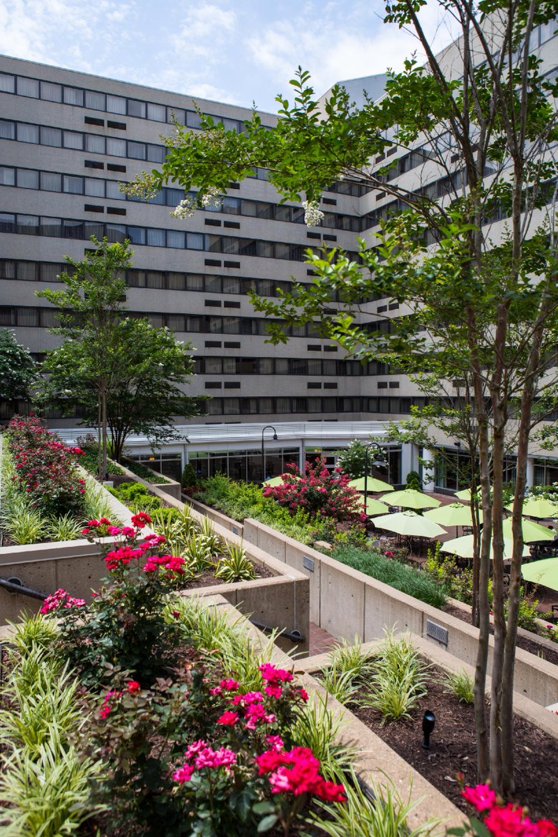 HICapitolDC's tweet photo. Our courtyard is a great spot to kick back and relax for a bit. Spring is in the air! #VisitDC #SpringInDC #DCHotelCourtyard https://t.co/MEg2G9oybw