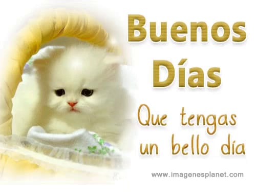 pedro80286141's tweet photo. @capimartos https://t.co/umh9wujasY