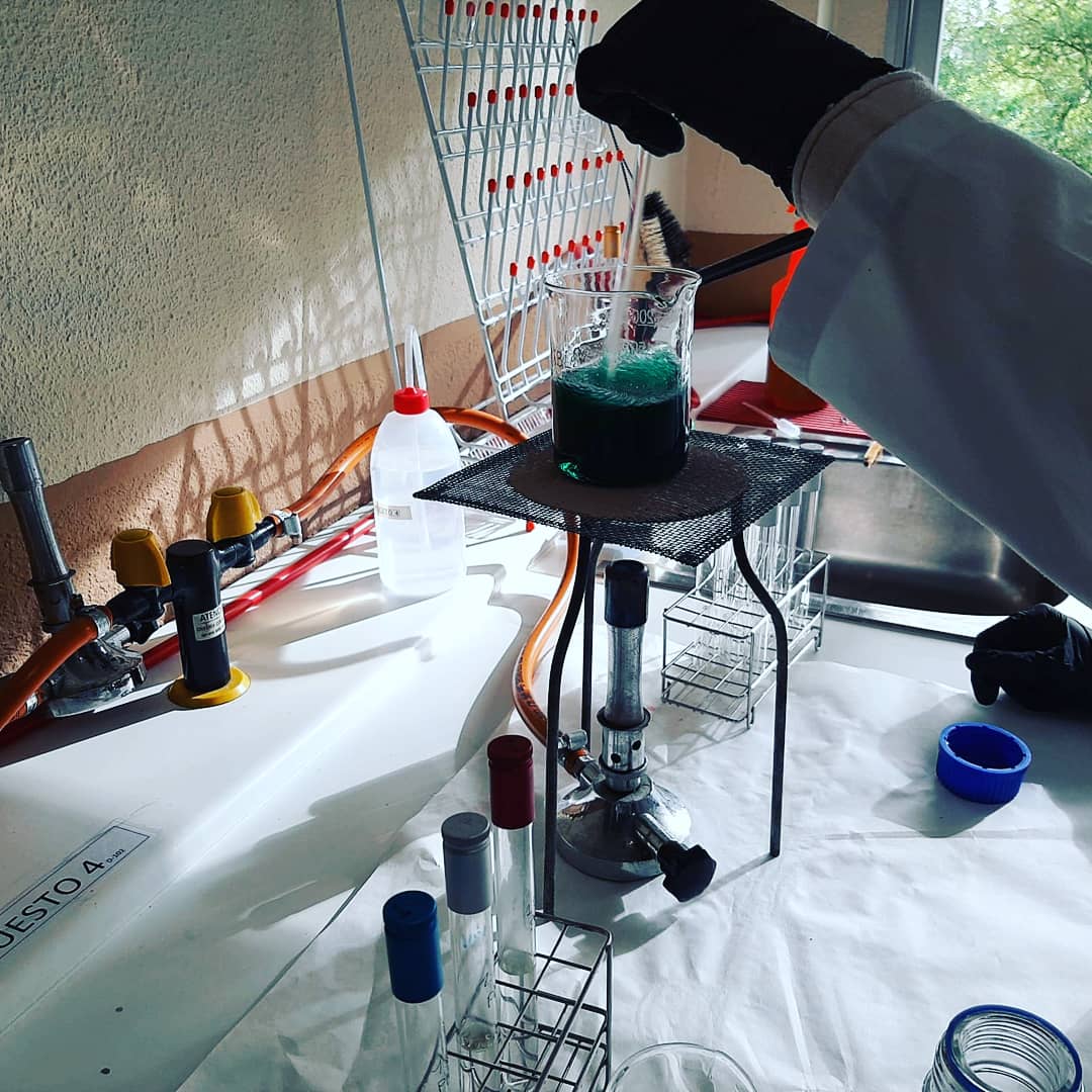 QEscultor's tweet photo. #Coliformes totales o enterobacterias lactosa-positivas 🦠
1️⃣ #Diluciones seriadas muestra
2️⃣Preparación #medio BGBL
3️⃣ #Siembra en tubo 🧪 con campana #Durham
4️⃣ #Incubación en #estufa 48h a 37°C 🌡️
5️⃣Si hay gas 🌫️ en campana es ➕
6️⃣N° tubos➕ #recuento Número más Probable #NMP https://t.co/Dv97Qr5dPk