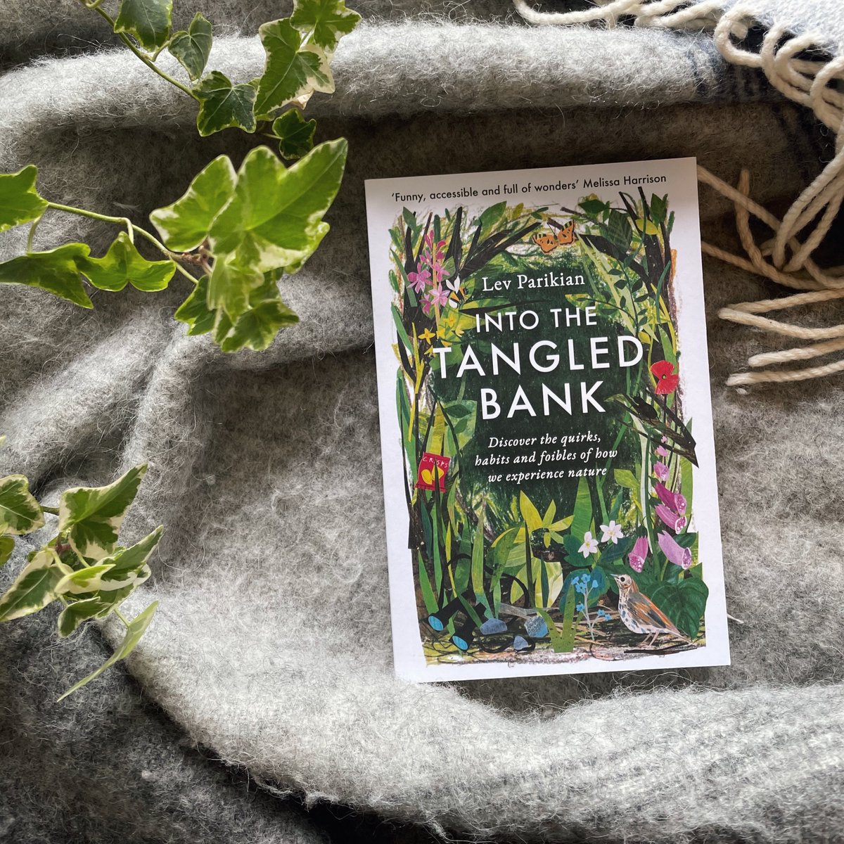 eandtbooks's tweet photo. This cover by the incredible artist @cloverrobin brings us such joy every time we see it.
So many hidden elements.
What can you spot?
#TangledBank is out next week >https://t.co/7KDAt41UOu https://t.co/ZjHiWGCjeI