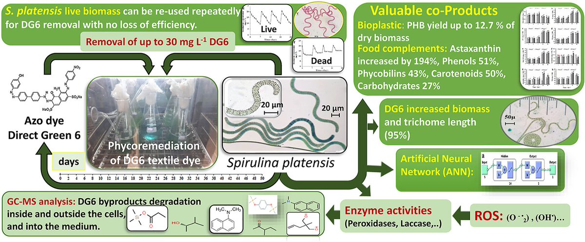 Thrilled to share a collaborative research article is out in #Chemosphere via @ElsevierConnect @ElsevierNews😍👇
➡️authors.elsevier.com/c/1d80gAOM9vnoS
#remediation #spirulina #biopolymer #textilewaste #phycobilins @sci_plant @PhDfriendSana @PhDVoice @PlantEditors @AcademicDilemma @AgBioWorld