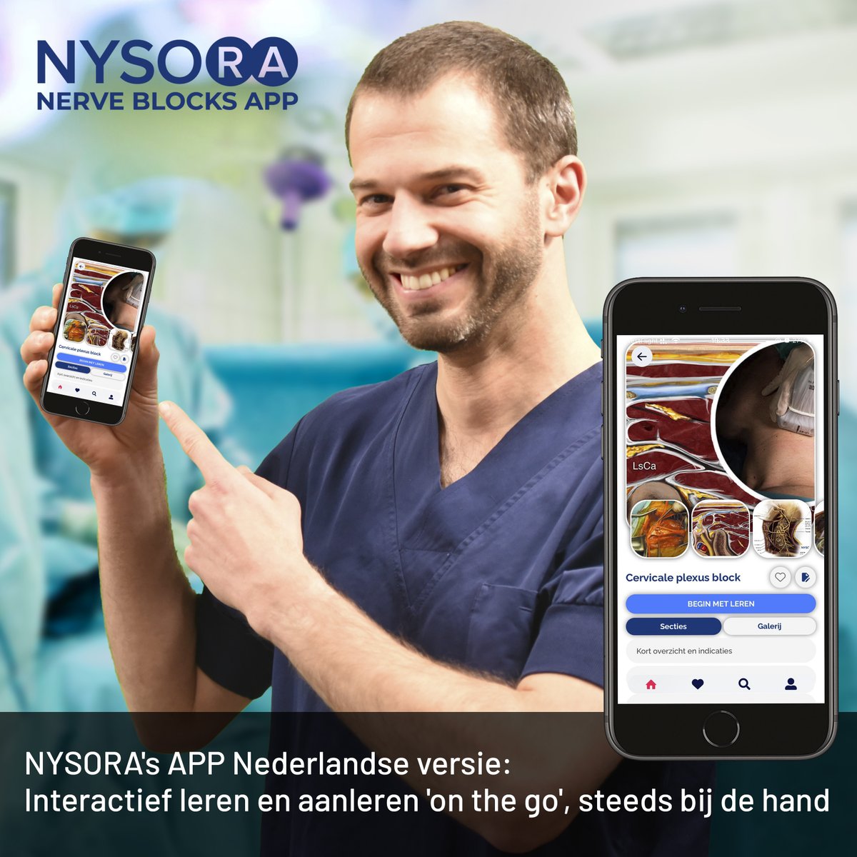 ⭐ Announcement: NYSORA Nerve Blocks Now Available in Dutch! Responding to the overwhelming request for App translation into other languages, we have worked with our liaison Dr. Imré Van Herreweghe to offer our Dutch colleagues an option to use the app in their native language.