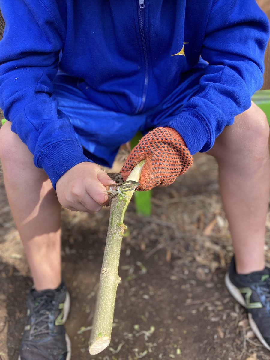 ProjReimaginate's tweet image. We have a nature play focus this term. Before working with real tools for our outdoor classroom build, we practiced risk taking by using whittling knives. Ss created stick tools and toys to decorate. Lots of fun, lots of focus! 

#ProjectReimaginate