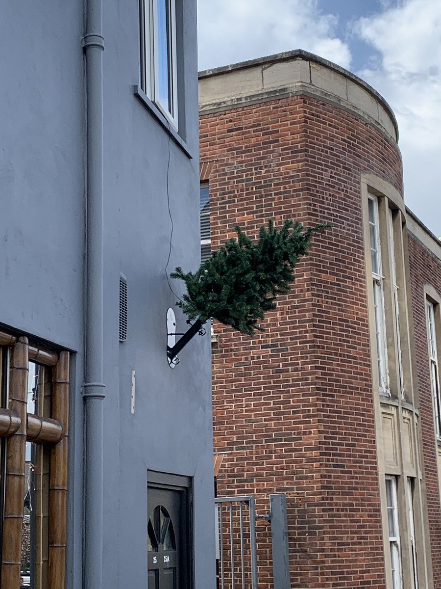 Morgan_Brind's tweet photo. It’s nearly June and yet this random Christmas tree is still hanging on in there… must still be on FIR-lough. #qualitypun #noyoustop https://t.co/cfuWHgeraE