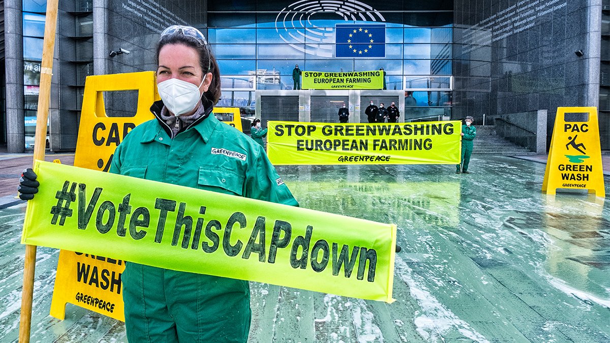 HBCUGreenFund's tweet photo. Greenpeace: EU farm policy wrecks nature, the climate and puts small farms out of a job – it's not green, it's #greenwashing a dirty deal.
@TimmermansEU had a chance to #WithdrawTheCAP, but didn't.
We are watching the EU Parliament – you must #VoteThis… https://t.co/BpsH3lWyBe