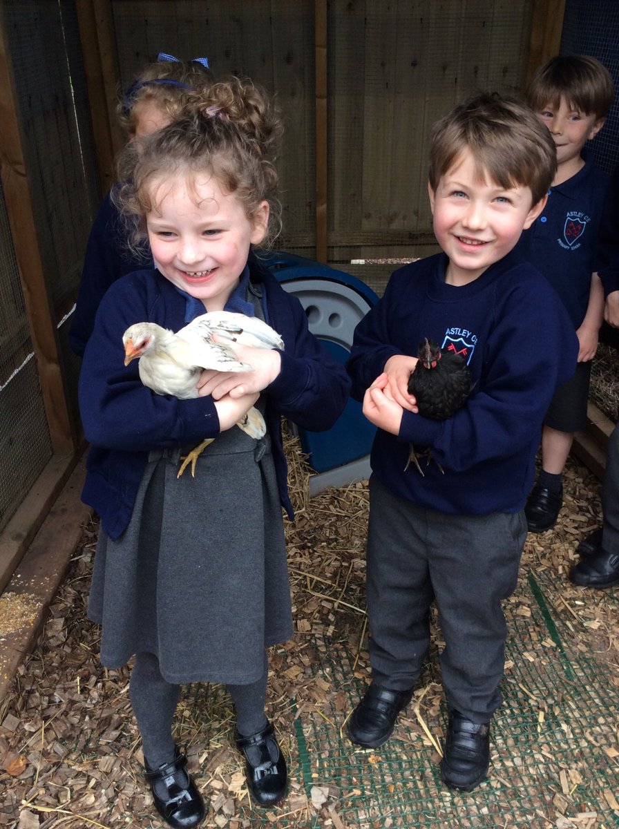 Astley C.E. Primary School tweet media