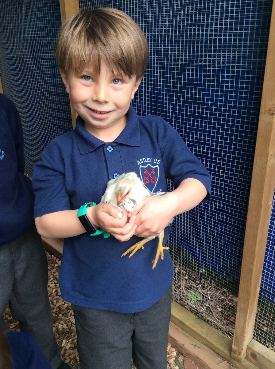 Astley C.E. Primary School tweet media