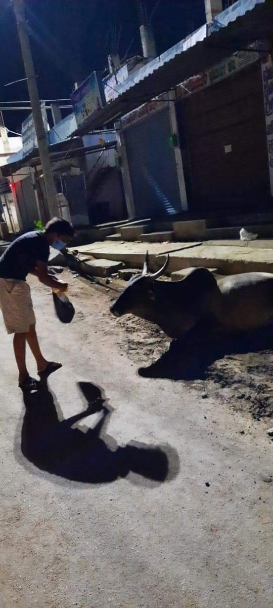 SmartDavangere's tweet photo. Team @SmartDavangere Feeding #StrayCows , In #Raichur With #Chappatis 

We are also providing financial assistance to the people who are interested in feeding stray animals in #karnataka.

@rohitsre
@NammaRailways @MPRBJP @GMSBJP @PMOIndia @BSYBJP @Karnataka_DIPR @DiprDavangere https://t.co/3ZRnU52ozB