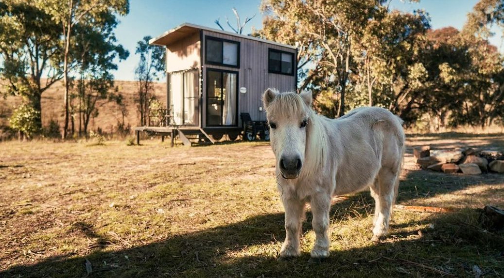 Mudgee Region tweet media