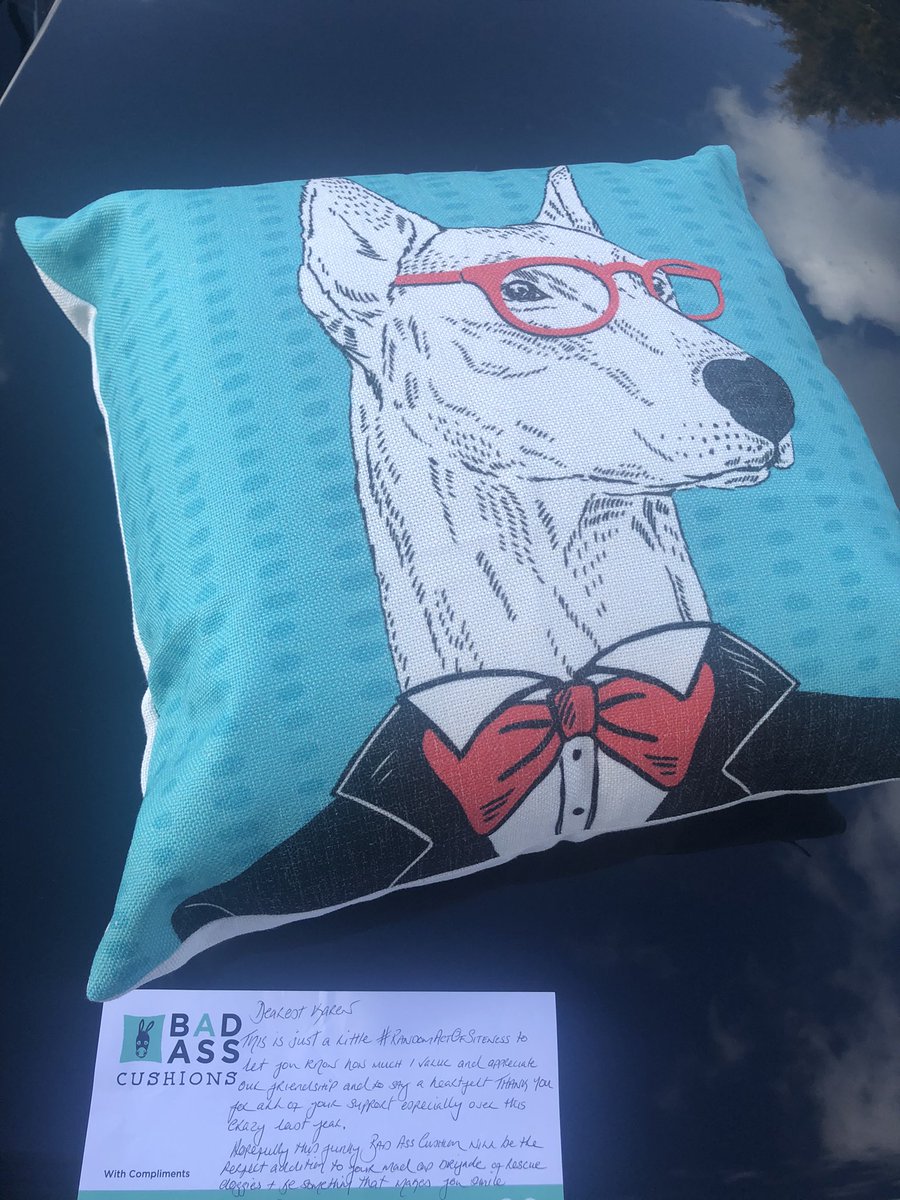 Karen Ronan CIS, CITP tweet media