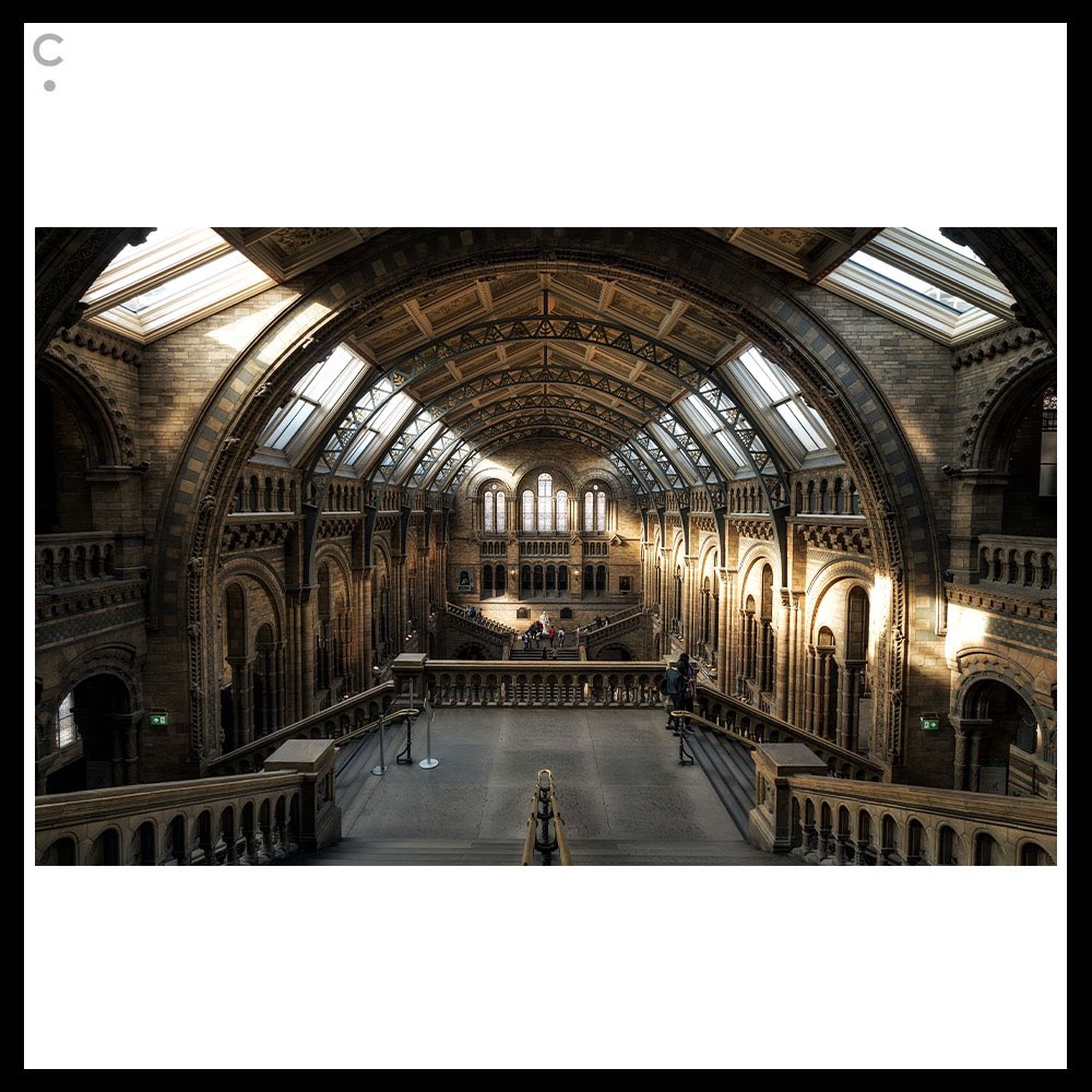 Productions Inc. tweet media