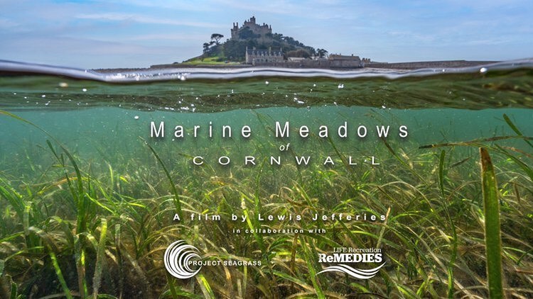 ProjectSeagrass's tweet photo. 🎥 Coming soon...

We are excited to announce our cinematic film in collaboration with @EULIFERemedies on seagrass in Cornwall ahead of the G7 summit next month🌱

It is our hope that this film will inspire conservation efforts for one of the worlds most threatened ecosystems. https://t.co/Dhr0kEszXz