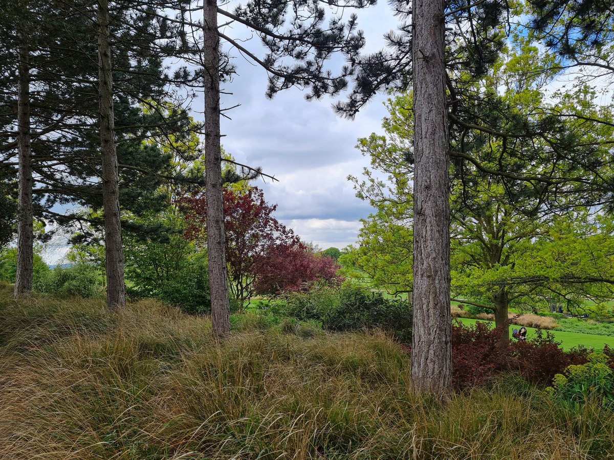 annockh's tweet image. #Presentview #rhshydehall