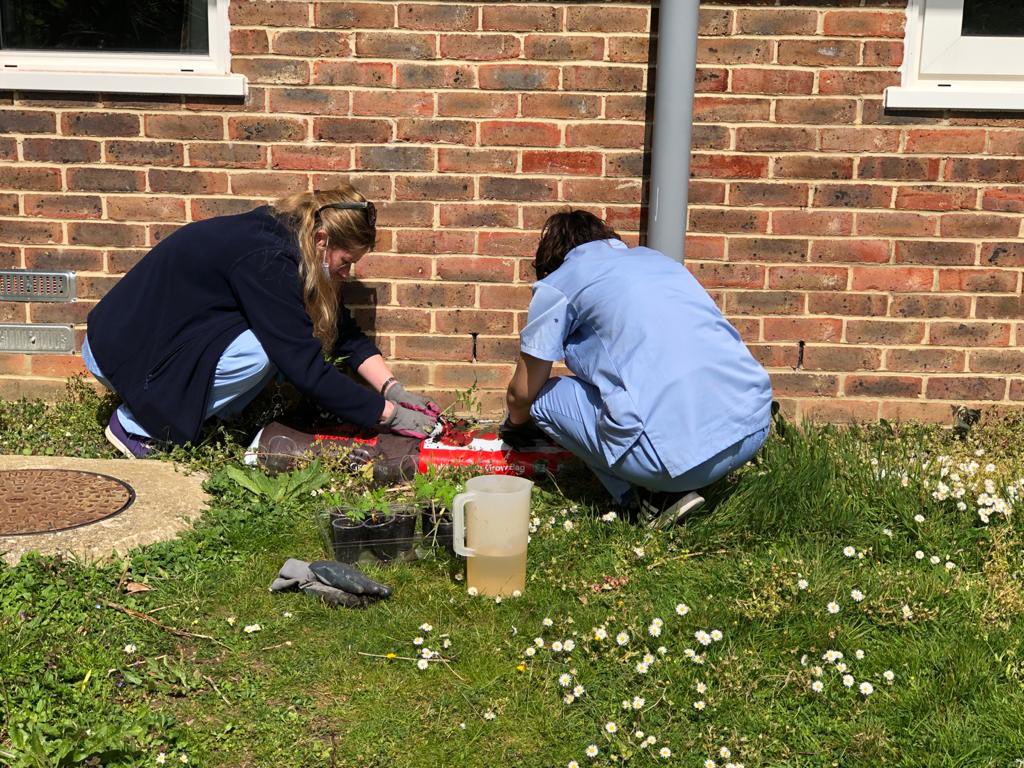 Maple Ward (@mapleward5) on Twitter photo Our lovely activity worker took a trip to Swanbourne lake with some of Maples service users. Then finished the day with some gardening. Fun had all round 🪴 #MentalHealthMatters #Occupationaltherapy Our lovely activity worker took a trip to Swanbourne lake with some of Maples service users. Then finished the day with some gardening. Fun had all round 🪴 #MentalHealthMatters #Occupationaltherapy