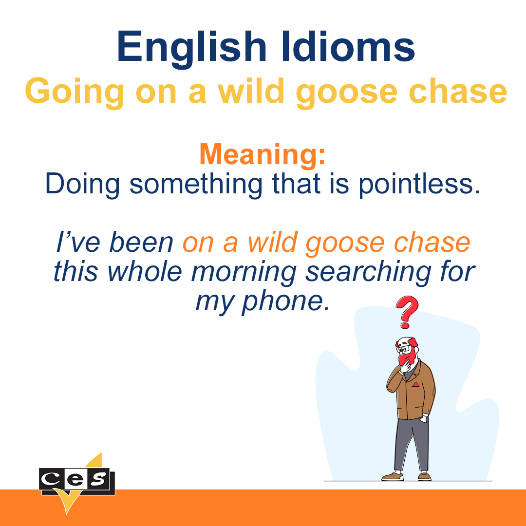 Wild Goose Chase Meaning, Examples, Synonyms