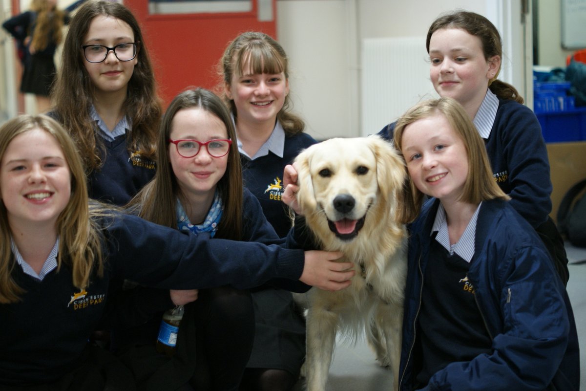 CDPSdogs's tweet photo. @CDPStoday #SchoolDog Wilbur and members of his Year 7 fan club yesterday! 

#SchoolDogs #CirencesterDeerParkSchool #Cirencester #DeerPark https://t.co/IcVZOCSrQJ