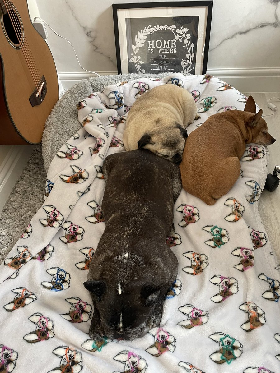 TheMrketingDogs's tweet photo. Another tough day working from home. Maximum effort being made to sleep for at least 14 hours today 🤪😜😇 https://t.co/6wGgvgFYRO