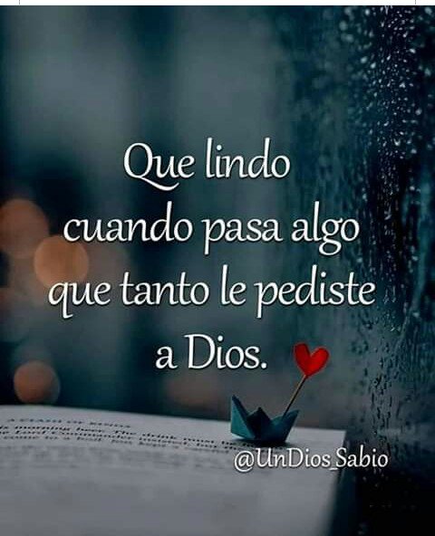 Clapjimenez1's tweet photo. Feliz y bendecido día para todos 😘
#PalestinaEstamosContigo #SoyComunicadorClap https://t.co/44TOlcGzLy