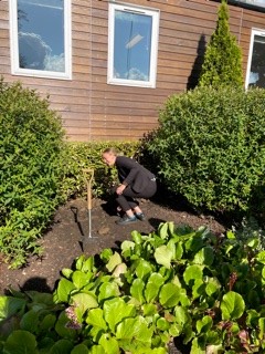 Overleigh House tweet media