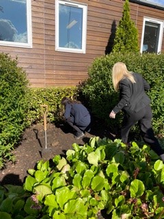 Our second activity for Just Giving Day was to plant 100 bulbs outside House. It will be great is they grow as wonderfully as our girls. #MillfieldGivingDay