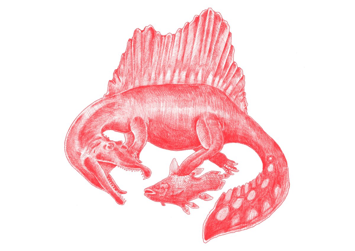 tymoresaur_art tweet media