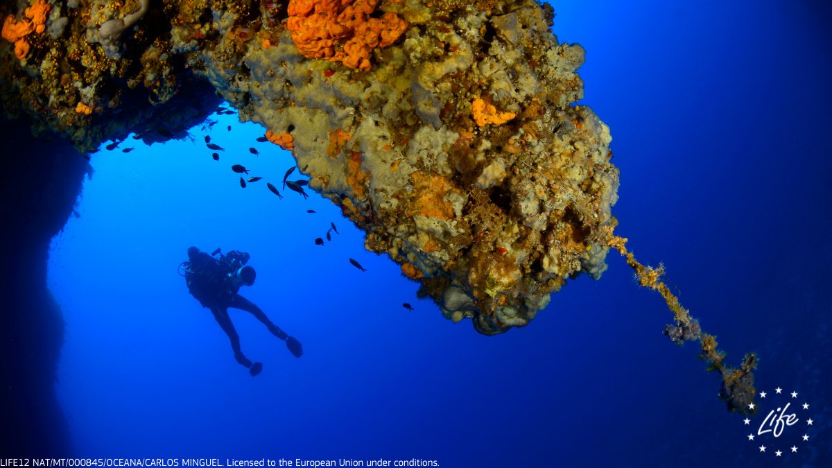 Clean &amp; blue oceans 🌊 are solely dependant on our actions!

⬅️Last week, the #LIFEprogramme presented at the #EMD2021 its impressive track record in addressing a wide range of #marinepollution issues. 🛳️⚓

Check out the outcome from our webinar👉  europa.eu/!DD44rG