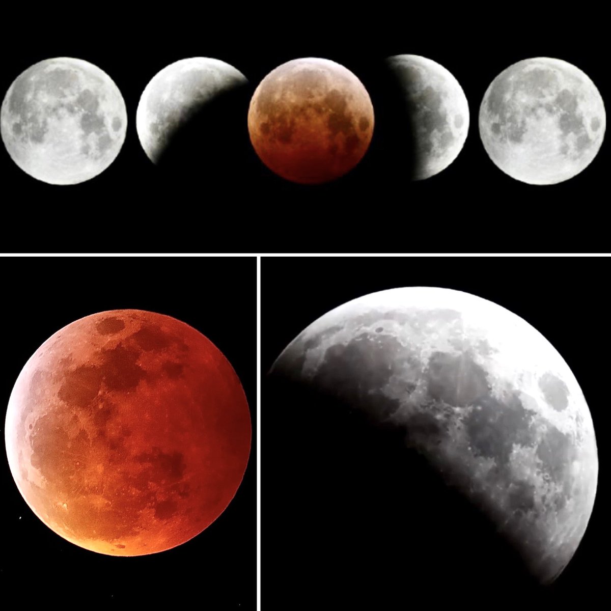 jeanquan's tweet photo. If you’re up for the #SuperBloodMoon #eclipse or #FlowerMoon is underway. Total T 4:15 am. Watch with #astronomers from #Oakland’s #ChabotSpace&amp;ScienceCenter https://t.co/bkMqe0UOuu
#LunarEclipse2021 https://t.co/BfQonTKYCo