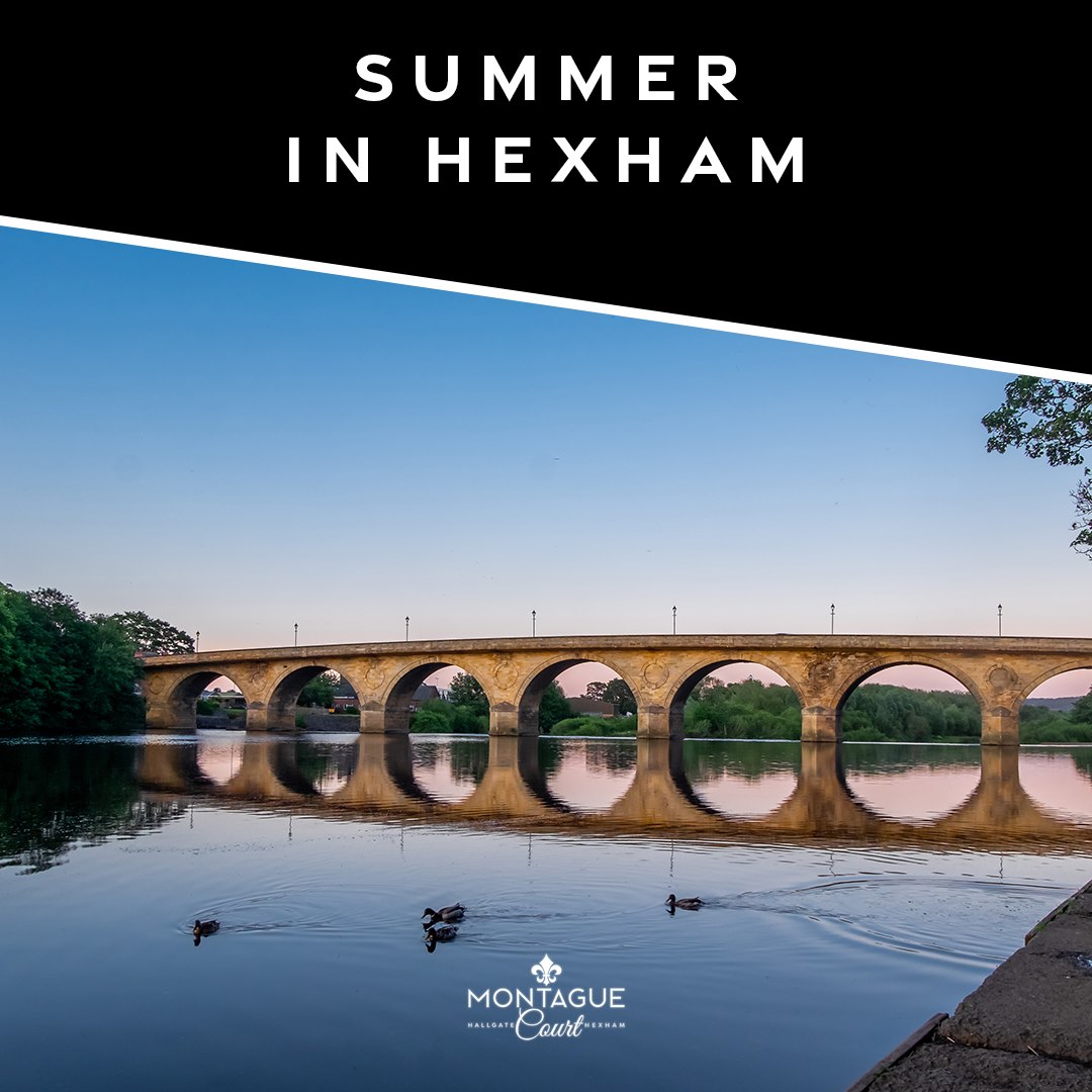 RegentsGateHome's tweet photo. Those summers in Hexham aren't far away now. ☀️

Have you discovered Montague Court? https://t.co/2M05RdjD5Y
