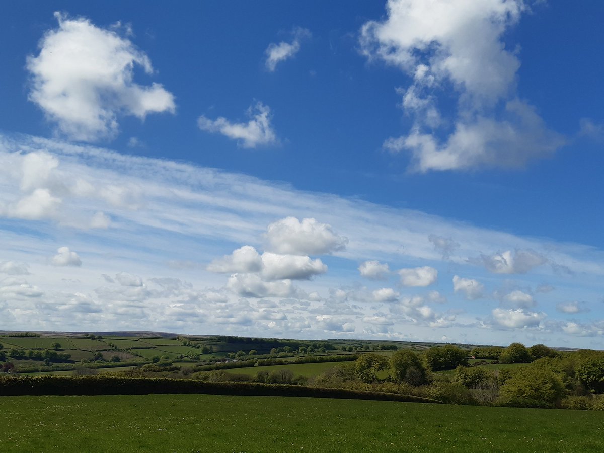 BevHunt72's tweet photo. So #Walk1 of 55 five milers or more, raising funds for #OneMedicine @HumanimalTrust is underway..walked up a big hill already on way to highest point on #Exmoor #DunkeryBeacon..scenery lovely and there are a lot of sheep
https://t.co/9UUUGXoP5Q https://t.co/u5OZRyYs14