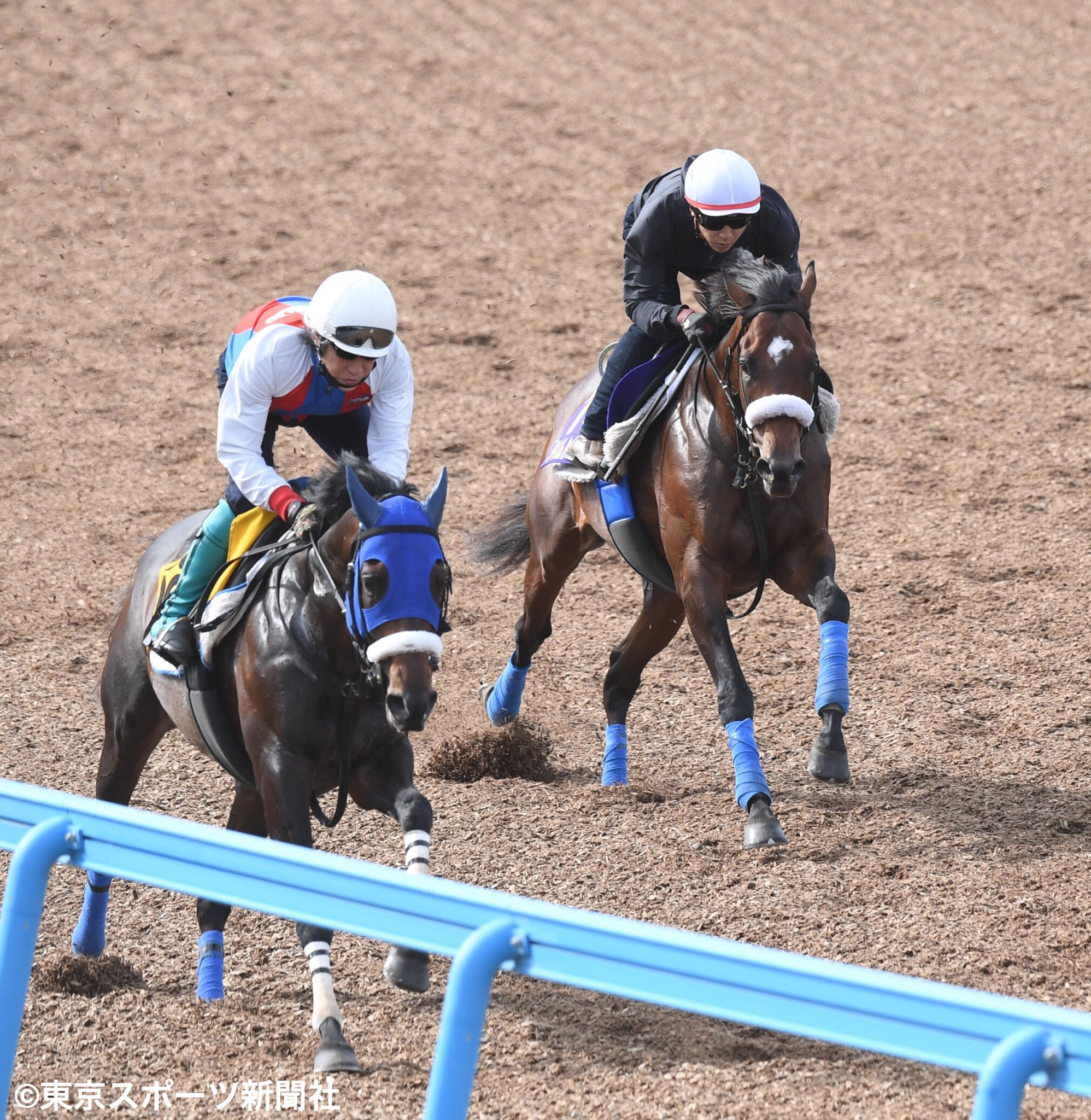 東スポ 写真部 競馬 ２０２１年５月２６日 追い切り ダービー 出走予定の タイムトゥヘヴン ロードカナロア キストゥヘヴン 戸田博文厩舎 ｄｍｍドリームクラブ 石橋脩 騎手 日本ダービー 東京優駿 競馬調教 T Co Sezhezrvst Twitter
