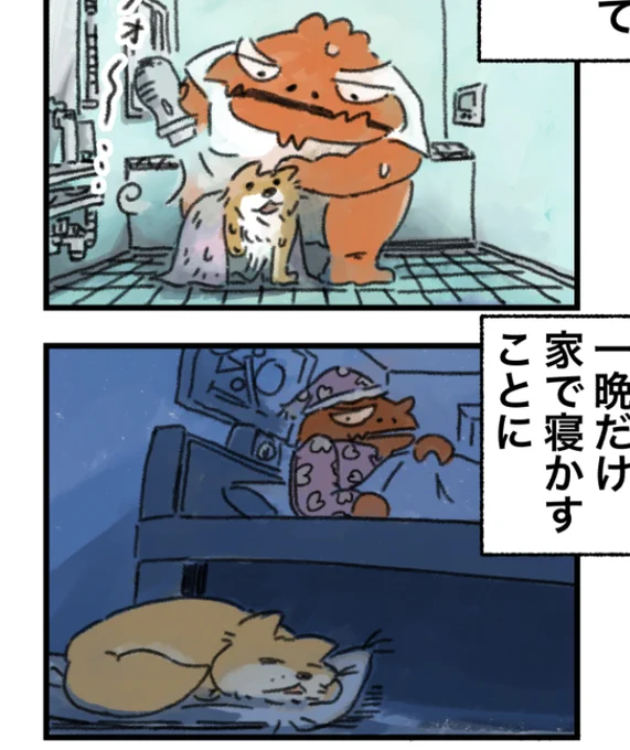 明日は…数珠の導きで、ワンコと出会ったティラノ部長。食べるのか育てるのか癒やされるのか、乞うご期待🦕 
